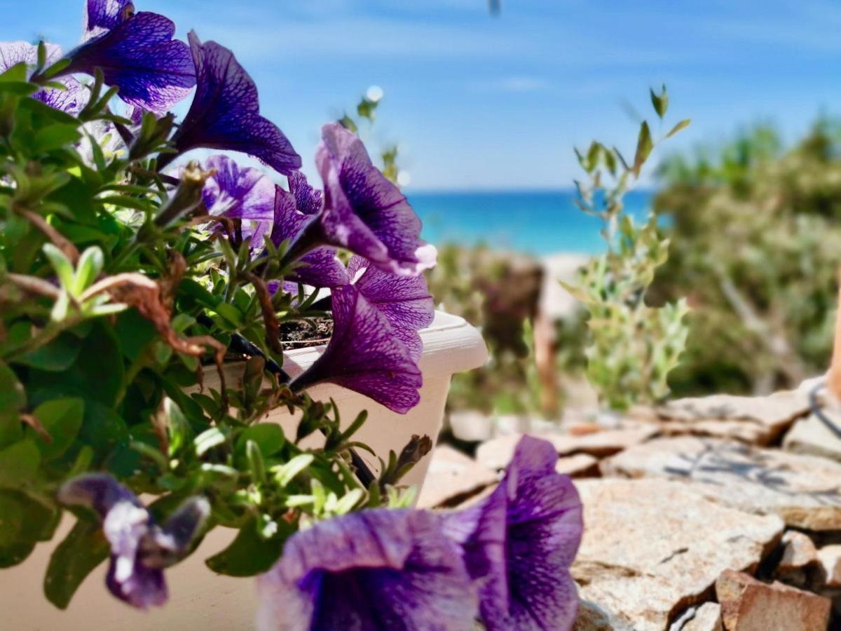 Beachfront House Geremeas Sardegna Apartment ภายนอก รูปภาพ